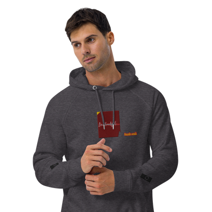 Unisex raglan hoodie