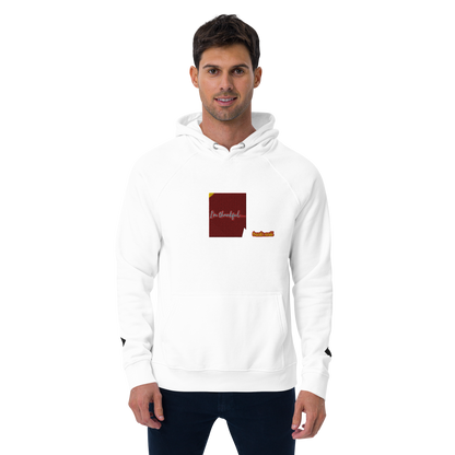 Unisex raglan hoodie