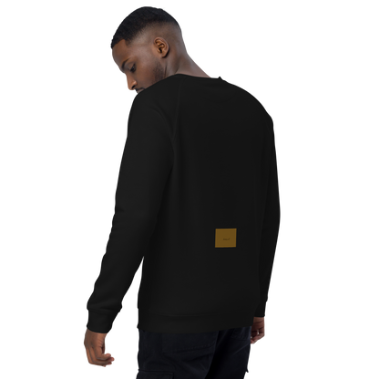 Unisex raglan sweatshirt