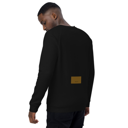 Unisex raglan sweatshirt