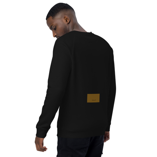 Unisex raglan sweatshirt
