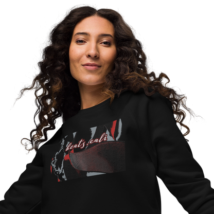 Unisex raglan sweatshirt