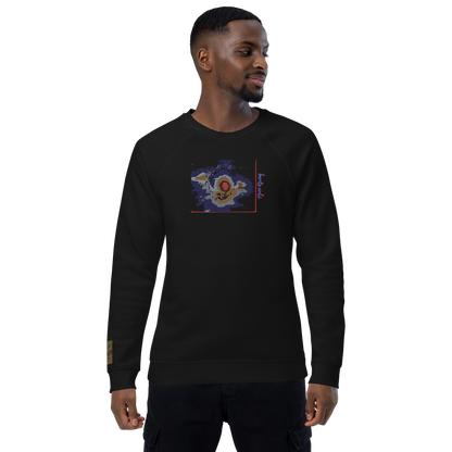 Unisex raglan sweatshirt