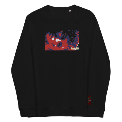 Unisex raglan sweatshirt