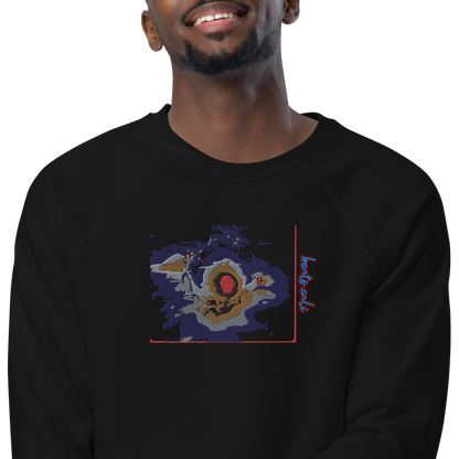 Unisex raglan sweatshirt