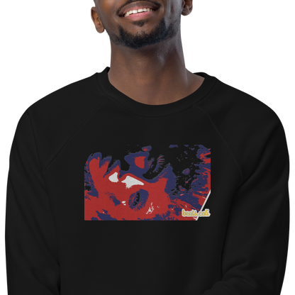 Unisex raglan sweatshirt