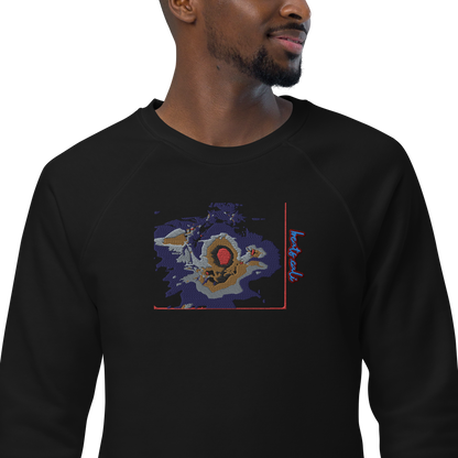 Unisex raglan sweatshirt