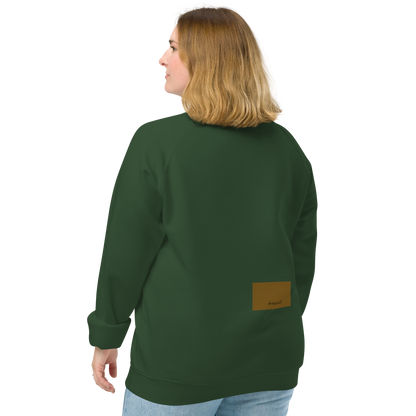 Unisex raglan sweatshirt