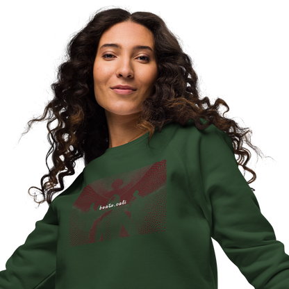 Unisex raglan sweatshirt