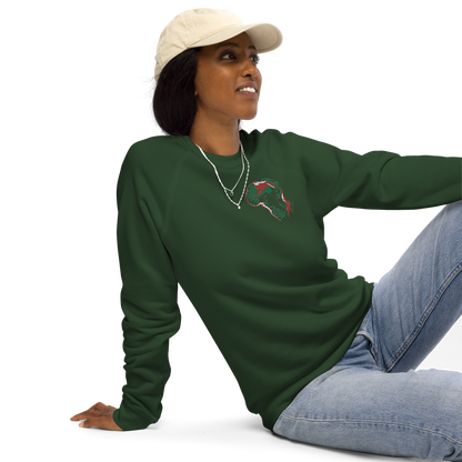 Unisex raglan sweatshirt