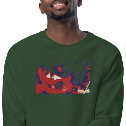 Unisex raglan sweatshirt