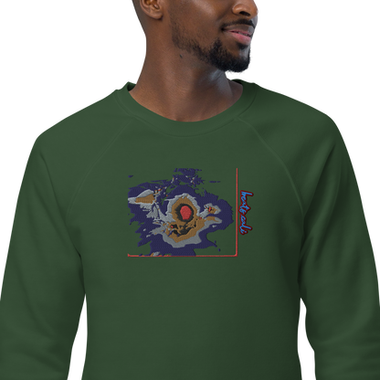 Unisex raglan sweatshirt