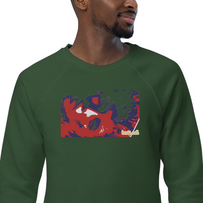 Unisex raglan sweatshirt