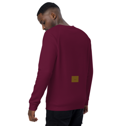 Unisex raglan sweatshirt