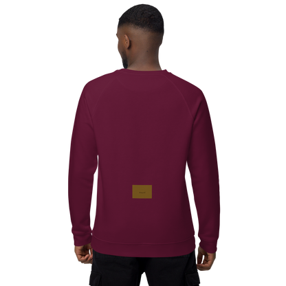 Unisex raglan sweatshirt