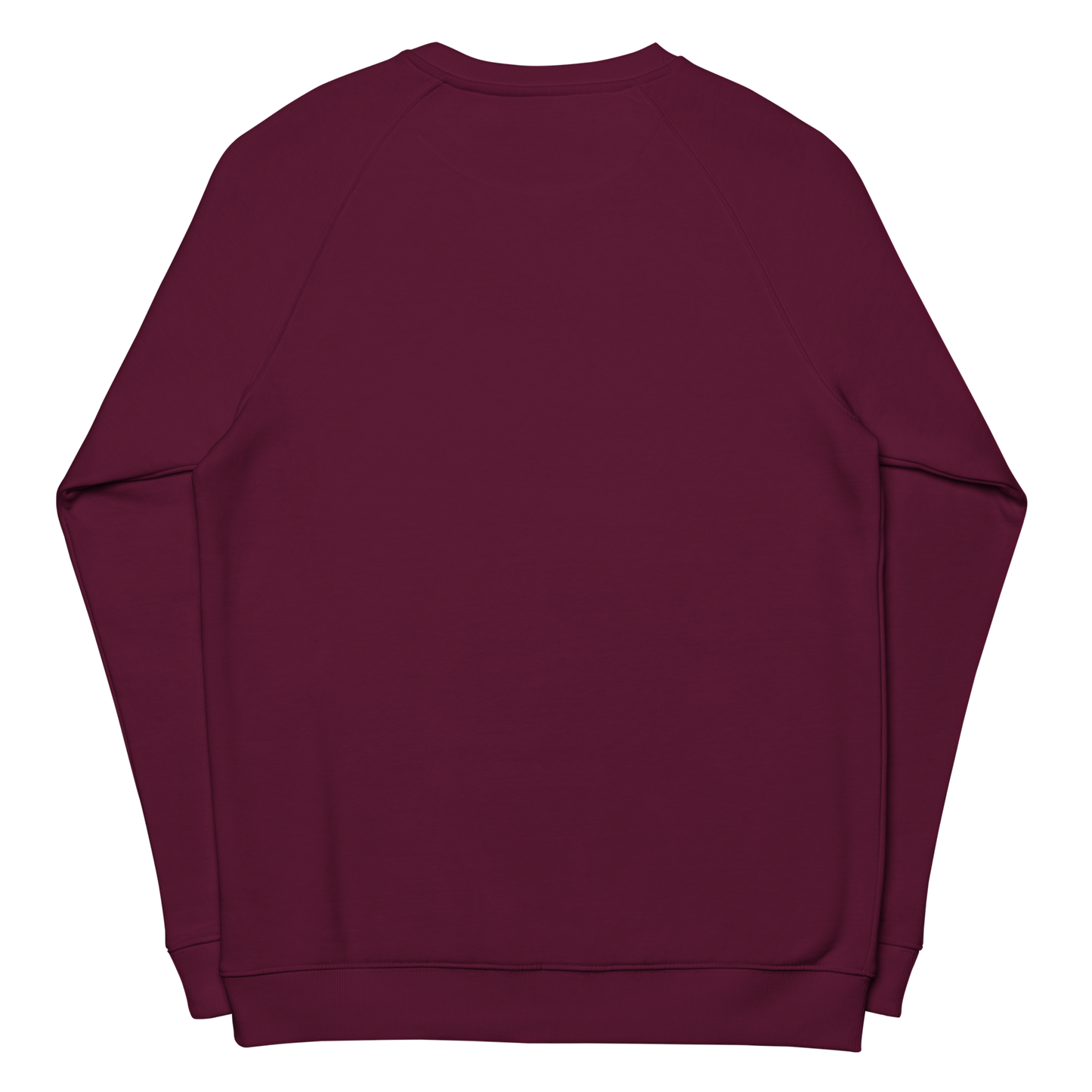 Unisex raglan sweatshirt