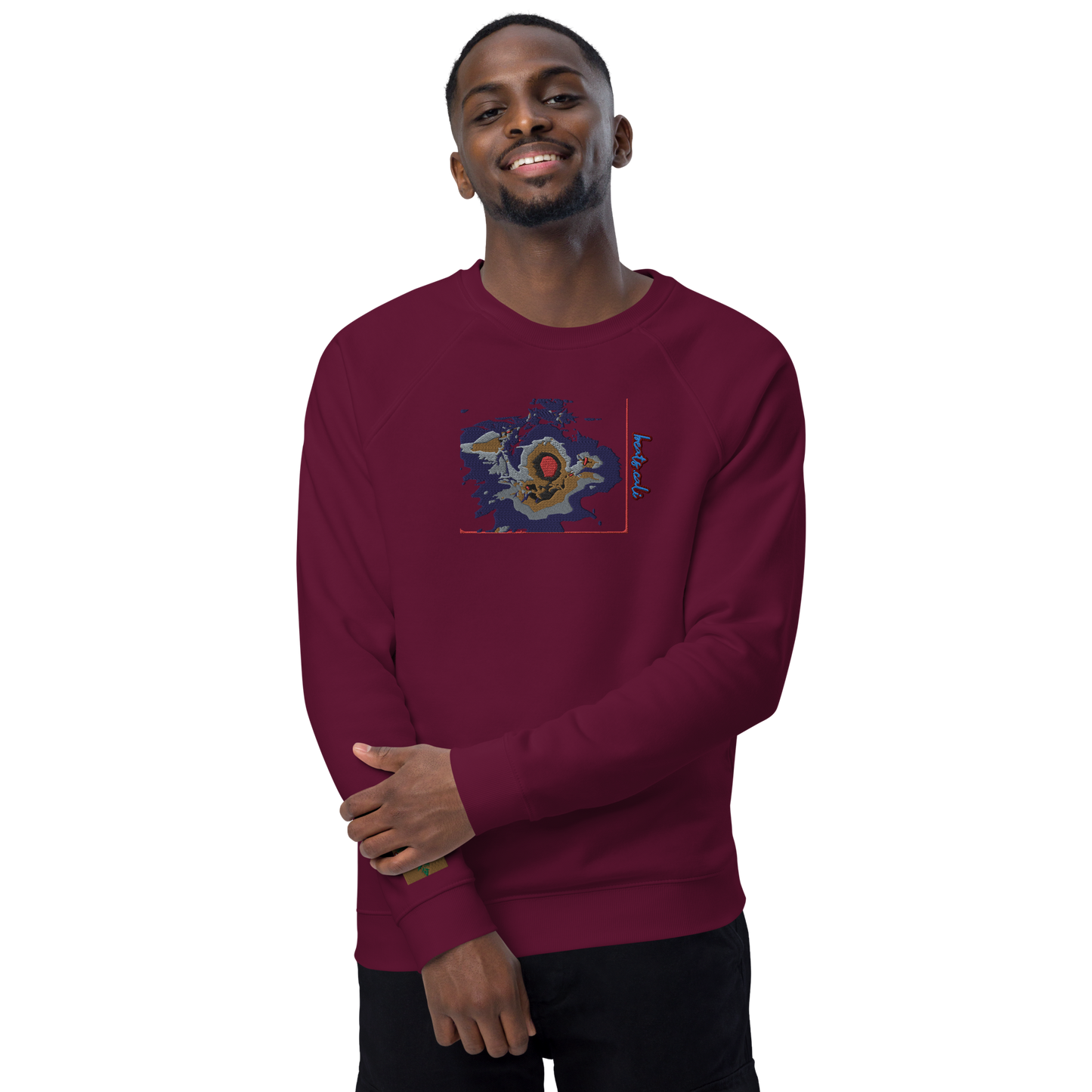 Unisex raglan sweatshirt