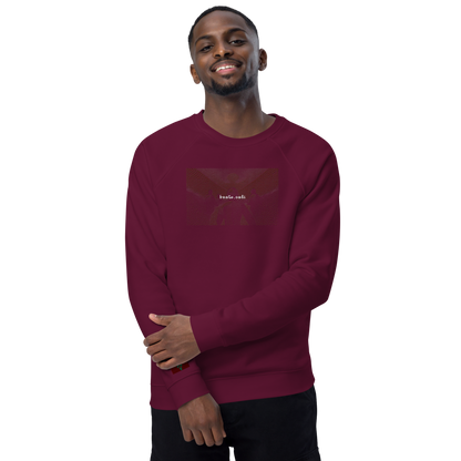 Unisex raglan sweatshirt