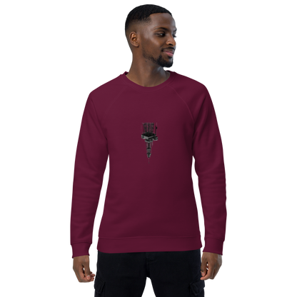 Unisex raglan sweatshirt