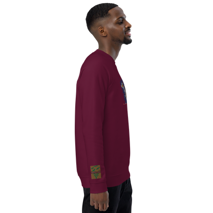 Unisex raglan sweatshirt