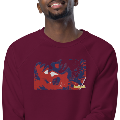 Unisex raglan sweatshirt