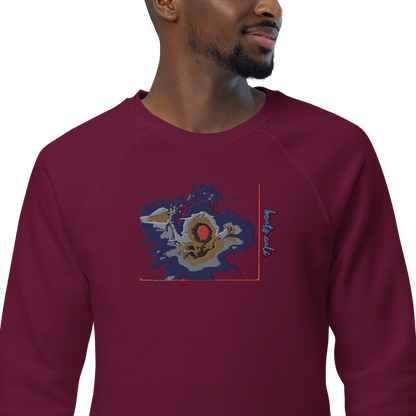 Unisex raglan sweatshirt