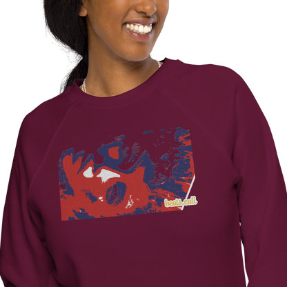 Unisex raglan sweatshirt