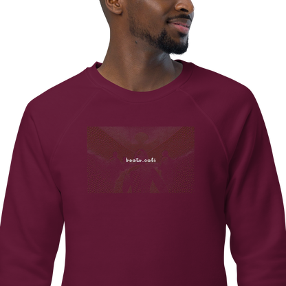 Unisex raglan sweatshirt