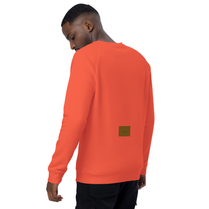 Unisex raglan sweatshirt