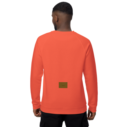 Unisex raglan sweatshirt