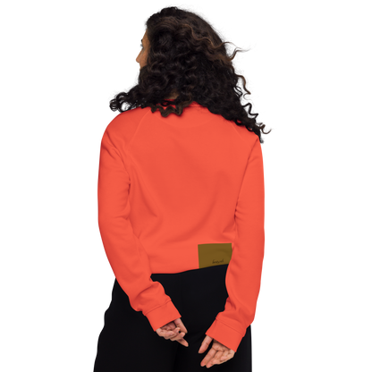 Unisex raglan sweatshirt