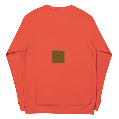 Unisex raglan sweatshirt
