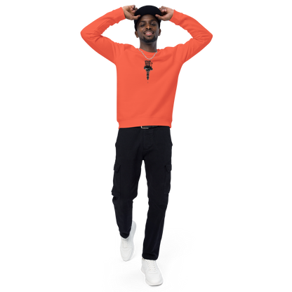 Unisex raglan sweatshirt