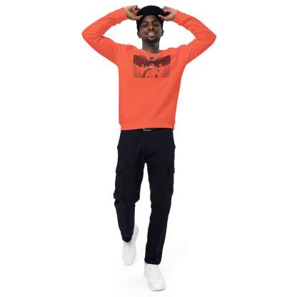 Unisex raglan sweatshirt