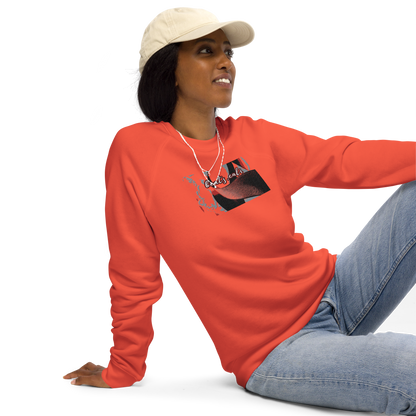 Unisex raglan sweatshirt