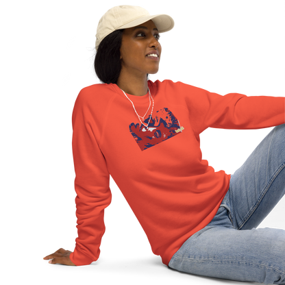 Unisex raglan sweatshirt