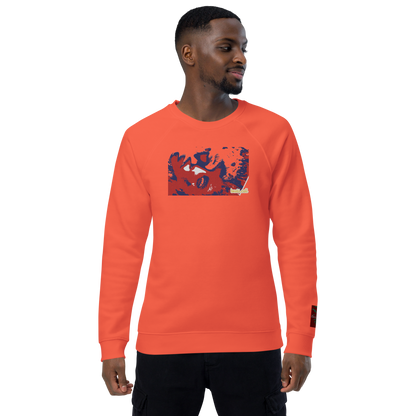 Unisex raglan sweatshirt