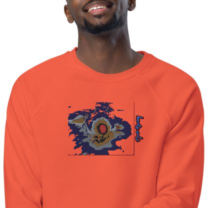 Unisex raglan sweatshirt