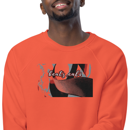 Unisex raglan sweatshirt