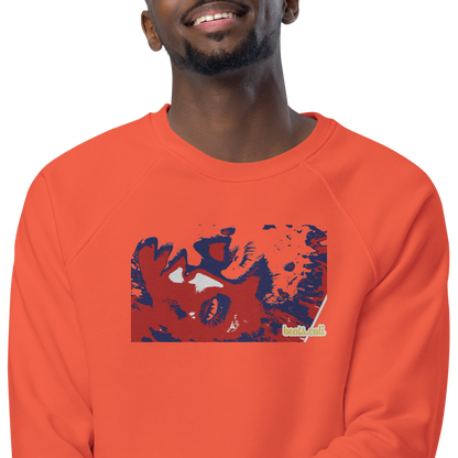 Unisex raglan sweatshirt