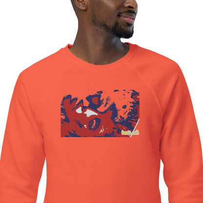 Unisex raglan sweatshirt