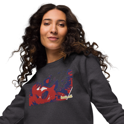 Unisex raglan sweatshirt