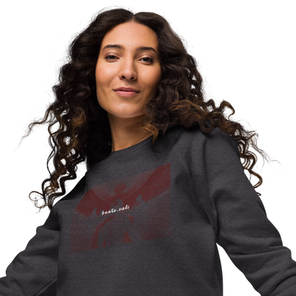 Unisex raglan sweatshirt