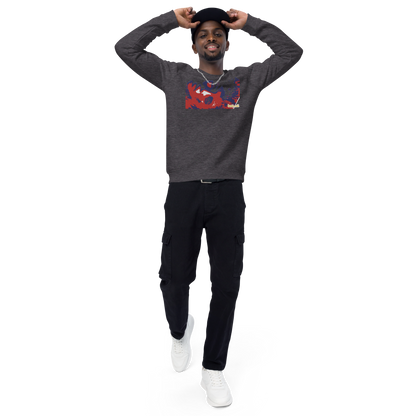 Unisex raglan sweatshirt
