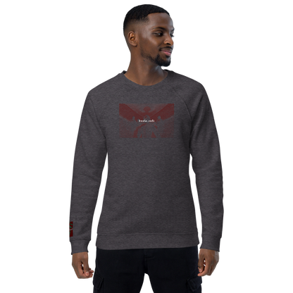 Unisex raglan sweatshirt