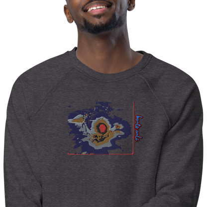 Unisex raglan sweatshirt