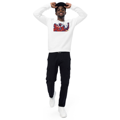 Unisex raglan sweatshirt