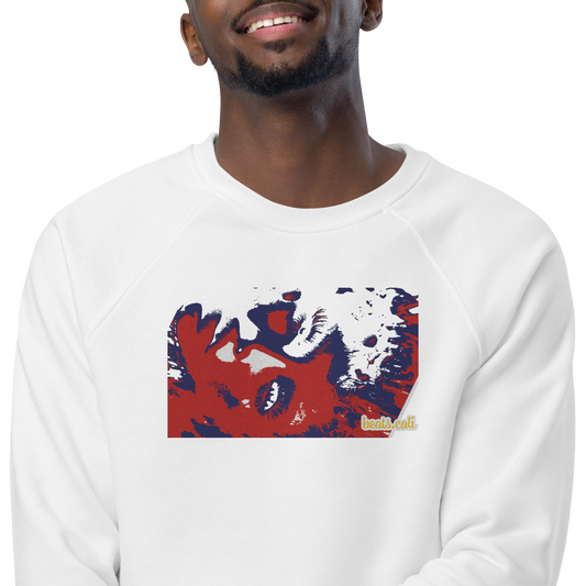 Unisex raglan sweatshirt