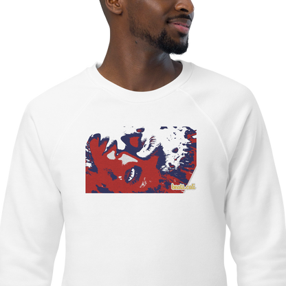 Unisex raglan sweatshirt